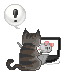 kitty